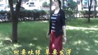祖國贊美詩 萬素蘭唱 字幕
