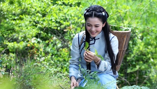 http://www.fjsenfa.cn/pics/default/download/9cbef1a0d0dba3443201b28d51fea355.jpg