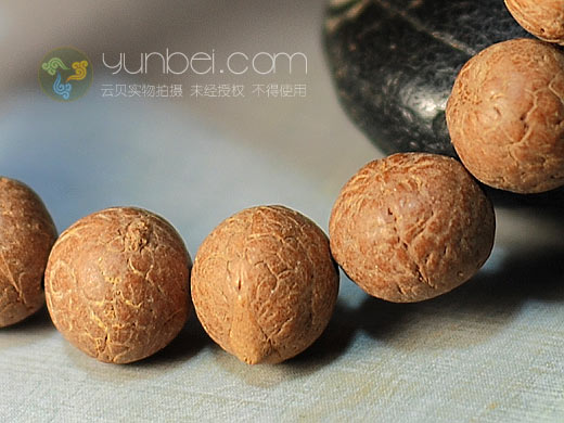 http://www.fjsenfa.cn/pics/default/download/9cdae4f253da629f53f02492019672ed.jpg