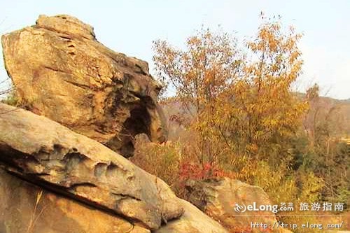 http://www.fjsenfa.cn/pics/default/download/9d1f12ca2ef9a7a98996bb18f8954f6f.jpg