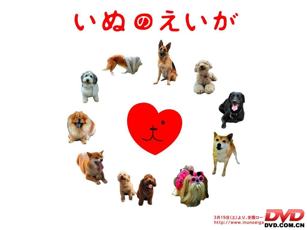 http://www.fjsenfa.cn/pics/default/download/9d2eeb60d8298b3568049868797c99bf.jpg