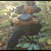http://www.fjsenfa.cn/pics/default/download/9d4eb8e9c9853ee8ff6c6872d4445bba.jpg