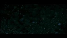 先行版預(yù)告片