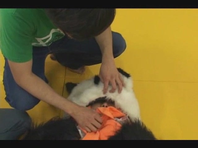 http://www.fjsenfa.cn/pics/default/download/9d60e8c7a3e482ec92dc68258a2b8384.jpg