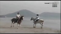 一諾傾情第9集海邊聽螺花絮