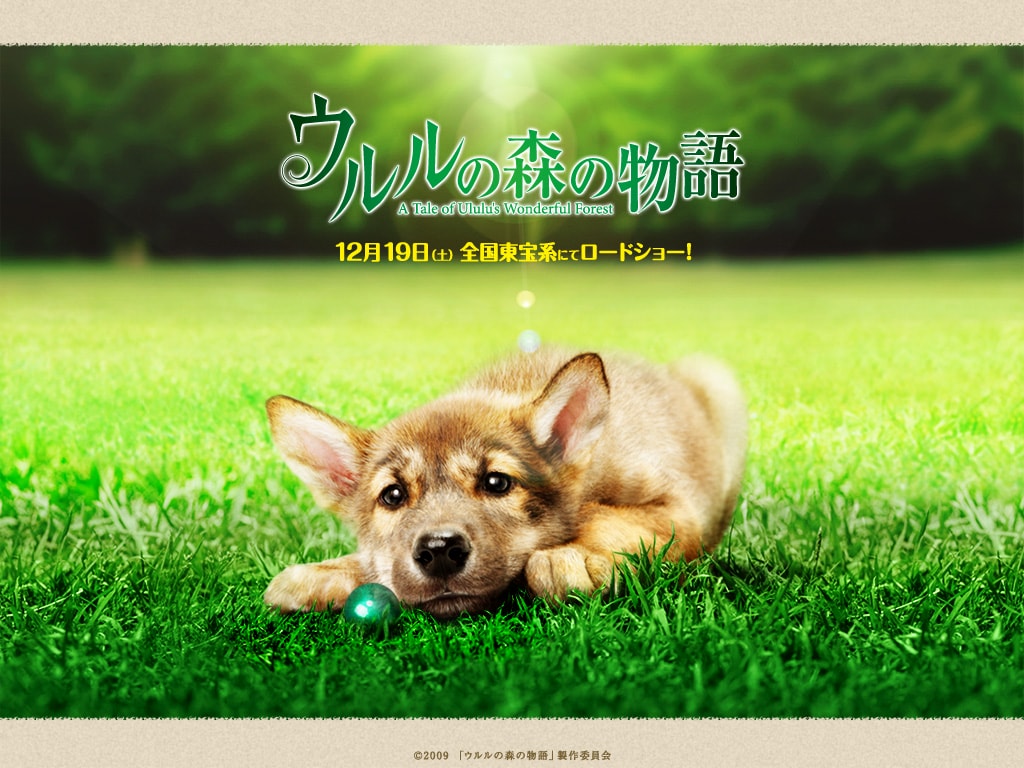 http://www.fjsenfa.cn/pics/default/download/9e087f6568eadd405d45aa2c862c0646.jpg