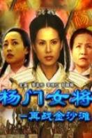楊門女將之再戰金沙灘