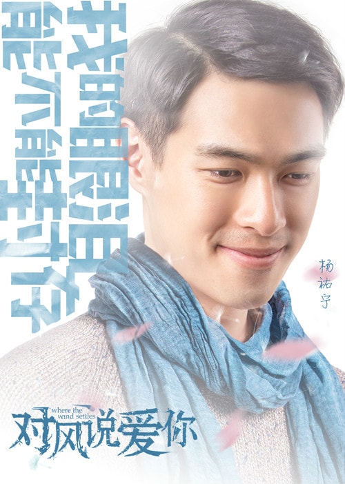 對風(fēng)說愛你 單人款海報