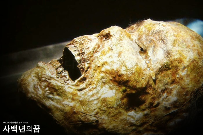 http://www.fjsenfa.cn/pics/default/download/9ff577f024735f9723121d7d47686ddb.jpg