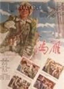 鴻雁