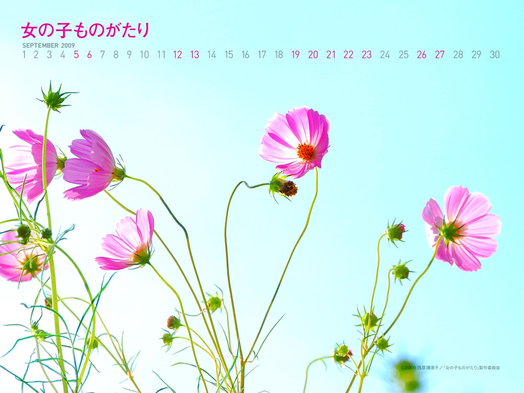 http://www.fjsenfa.cn/pics/default/download/a0e3884b7f9edc3bb7e348d1bd8bbdf3.jpg