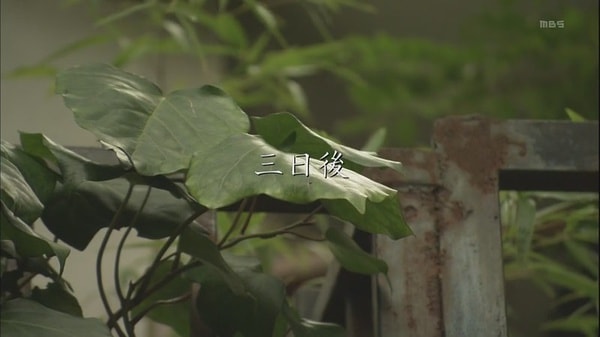 http://www.fjsenfa.cn/pics/default/download/a19a6a304e43ba1d648a17e811d707b5.jpg