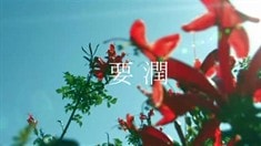 先行版預(yù)告片1
