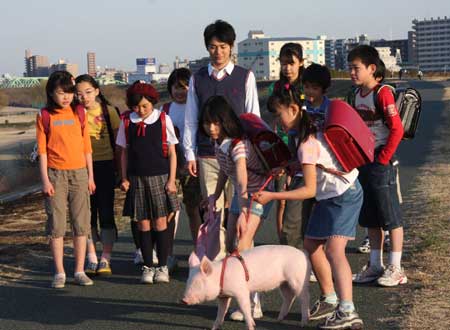 http://www.fjsenfa.cn/pics/default/download/a1c6dd9f59c9dddf9d8af7f44819370d.jpg