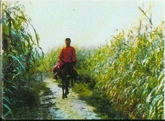 http://www.fjsenfa.cn/pics/default/download/a29f671803f2ce424db27e7c84bfa3f5.jpg