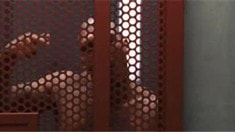 預(yù)告片1