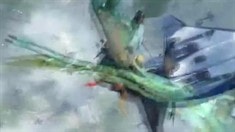 電視宣傳片“Fighting for Survival”