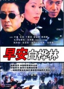 早安白樺林