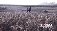 《闖天下》預告片