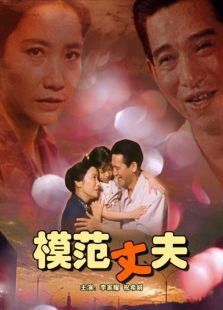 模范丈夫