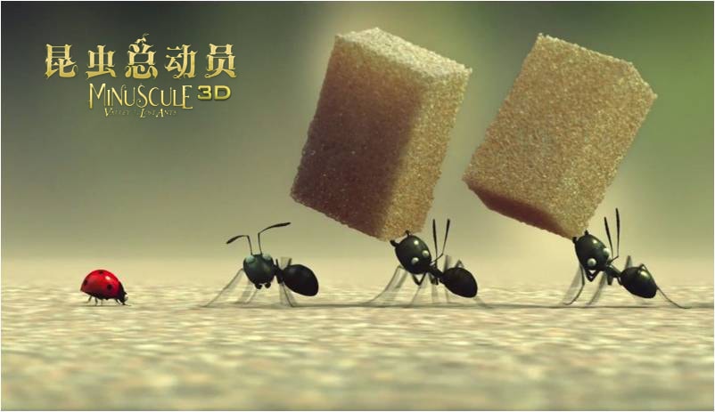 http://www.fjsenfa.cn/pics/default/download/a840b922cf873518d8d32c71070f150e.jpg