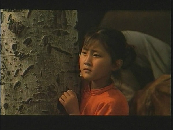 http://www.fjsenfa.cn/pics/default/download/a844ee366095a3702ca8674c53eefc76.jpg