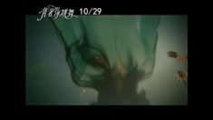 預(yù)告片