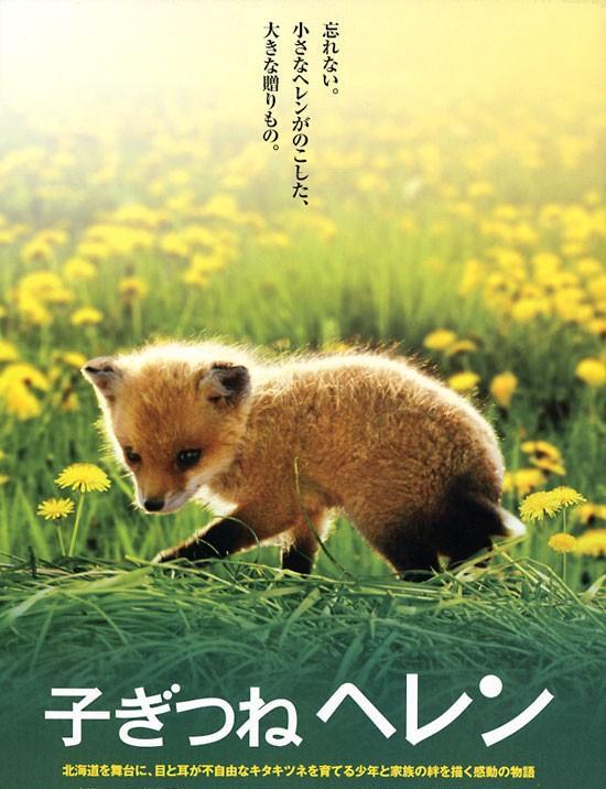 http://www.fjsenfa.cn/pics/default/download/a8751d117aeb1daf1254908b5fb890a6.jpg