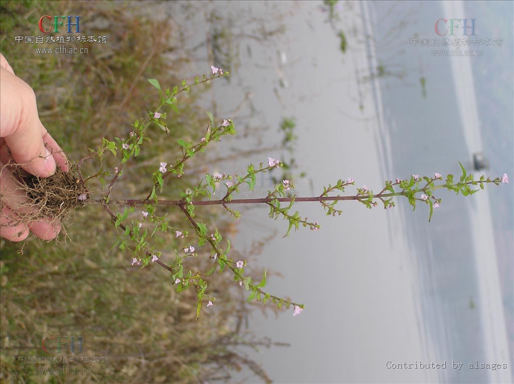 http://www.fjsenfa.cn/pics/default/download/a8c52c9c5fad8309e5d2a6f01423d9dc.jpg
