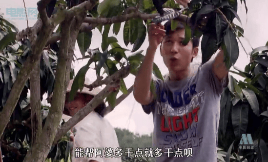 http://www.fjsenfa.cn/pics/default/download/a969a909e33a0140ee75c7b6910960b9.jpg