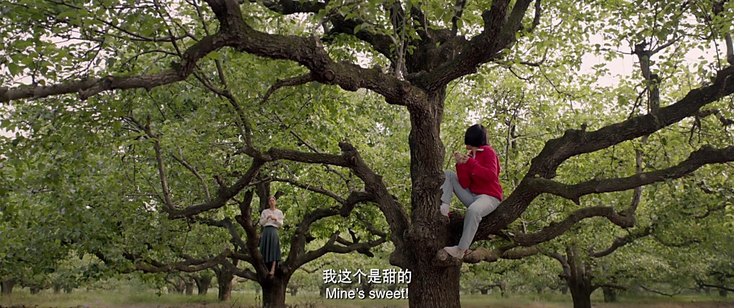 http://www.fjsenfa.cn/pics/default/download/a987111619d88a2fd22f8ff86c87bb0e.jpg