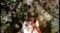 枉凝眉 紅樓夢 主題曲