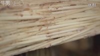 玩命！用350萬根牙簽粘合成的籠子來抵擋森林之王