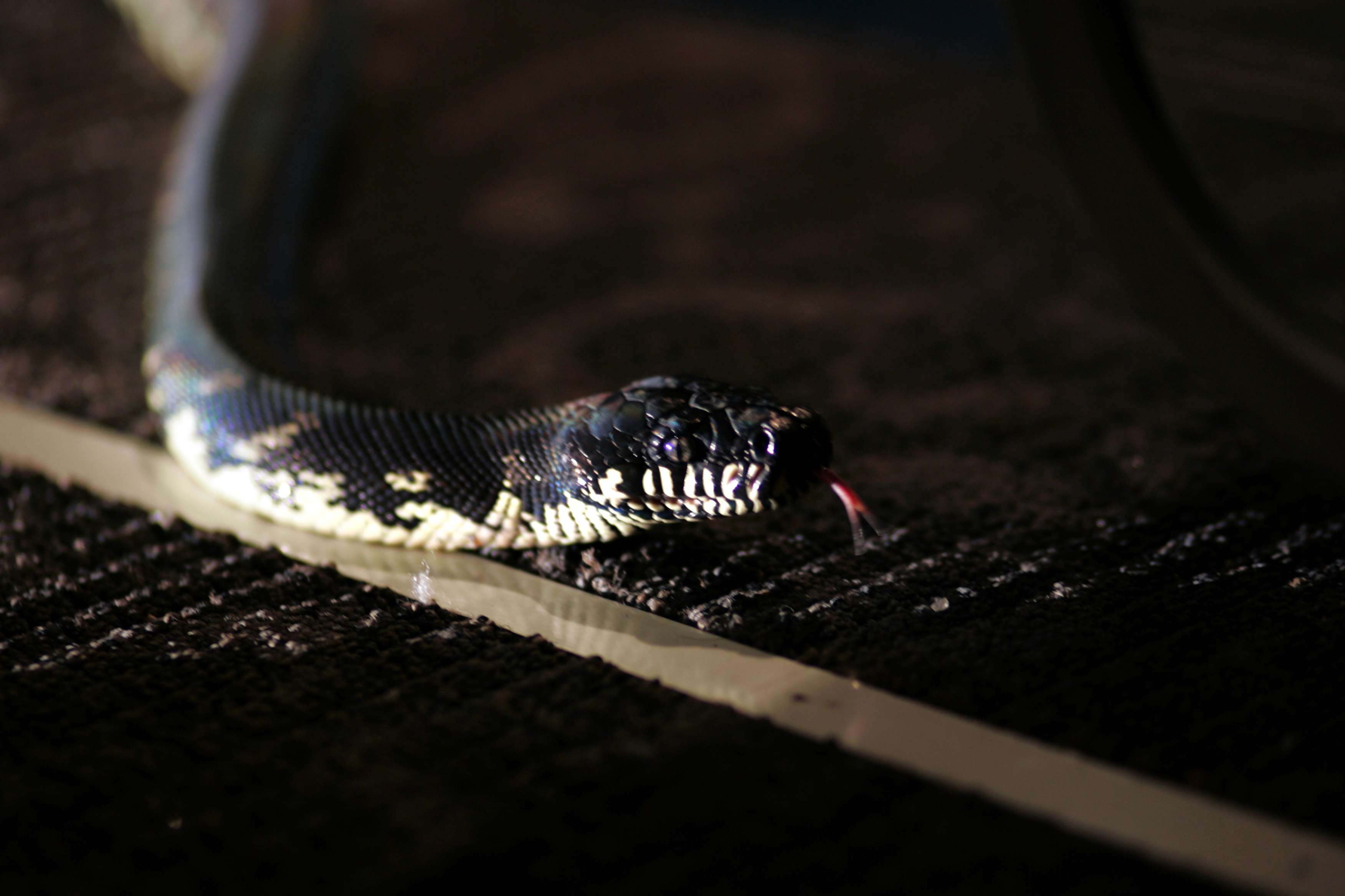 http://www.fjsenfa.cn/pics/default/download/ab566165d182b6fc5df9519455b8c2ba.jpg