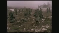 蘇德戰場 - 德軍血刃自己的傷兵？