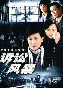 婚姻訴訟