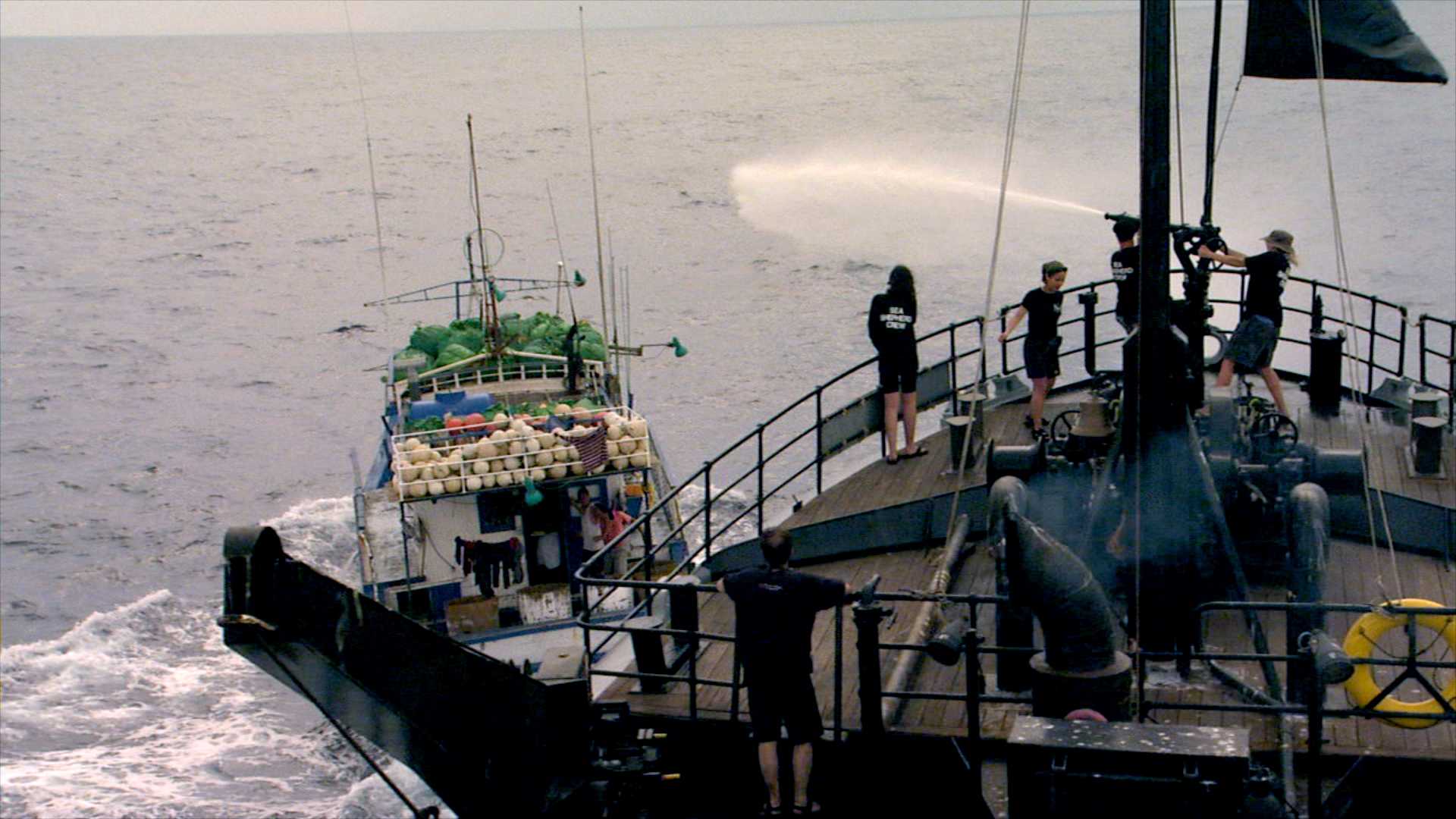 http://www.fjsenfa.cn/pics/default/download/acfb4ae79c2204b9ca9bb4fe1d06cfe7.jpg
