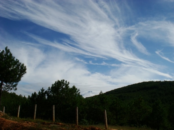 http://www.fjsenfa.cn/pics/default/download/ad3c3b690b71097074b3c991ec8d18ac.jpg