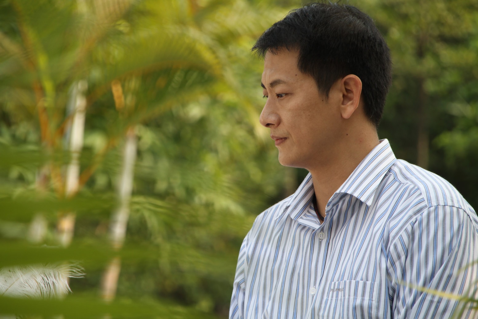 http://www.fjsenfa.cn/pics/default/download/add39cf692223edef790f9483cdfbd4b.jpg