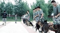 《神犬奇兵》萌寵成長記 高清(360P)