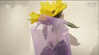 陷入純情E14 向日葵的愛 CUT