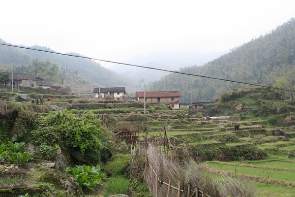 http://www.fjsenfa.cn/pics/default/download/b042c38c06ca5d8fa5a9ac8148445032.jpg