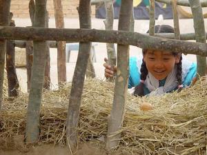 http://www.fjsenfa.cn/pics/default/download/b0c59b19de28e4b3e5b2f91b8f4fa2f1.jpg