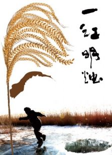 一江明燭