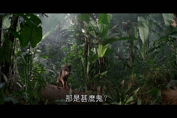 http://www.fjsenfa.cn/pics/default/download/b1d942cc1985fb36dd4cc048b9b6e294.jpg