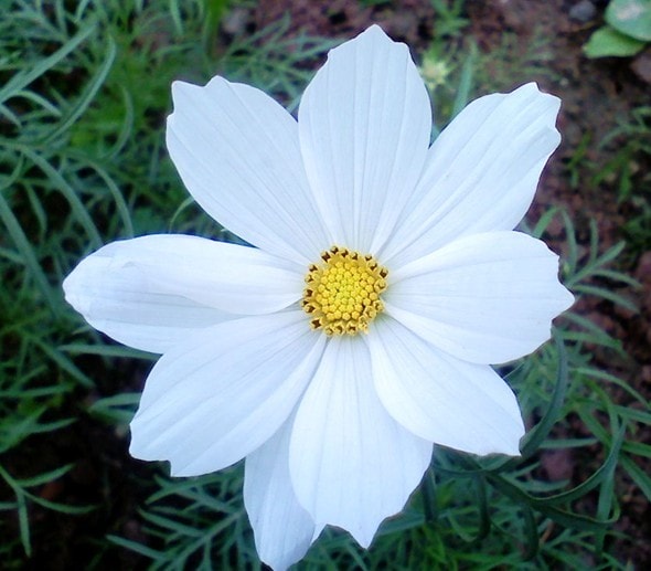 http://www.fjsenfa.cn/pics/default/download/b2f77c66d98e016cc9c93873378cec06.jpg