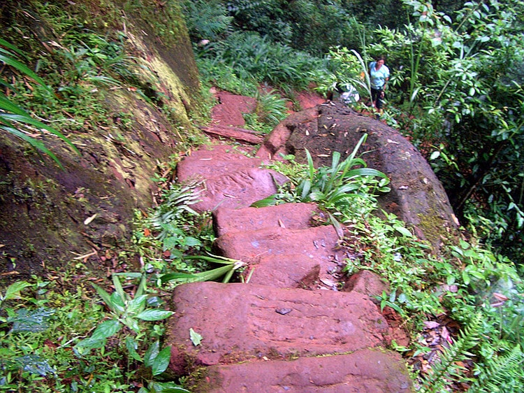 http://www.fjsenfa.cn/pics/default/download/b3876890a3dc8fe4c1b4979b1d0292f0.jpg