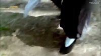 僵尸被打激素，變成窮兇極惡吸血成性無敵的，林正英都被打敗而逃