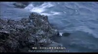 中國首部鳥類電影《天賜》預告片