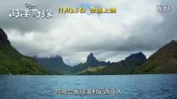 迪士尼《海洋奇緣》首發中文特輯 11.25開啟神秘大洋之旅